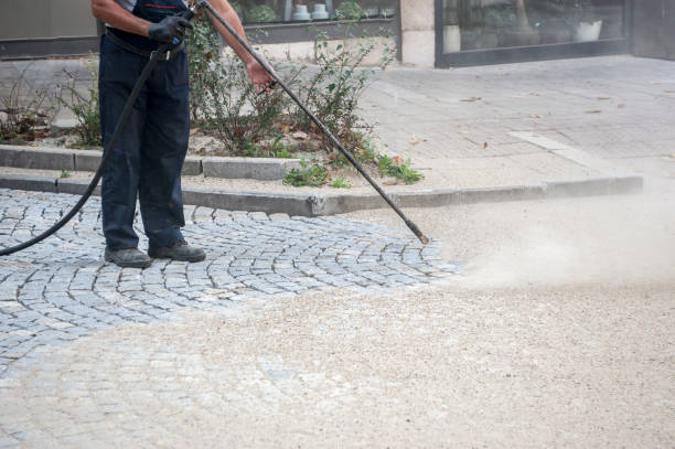 Best Roof Washing  in Wellington, CO